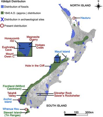 Ancient and modern scats record broken ecological interactions and a decline in dietary breadth of the critically endangered kākāpō parrot (Strigops habroptilus)